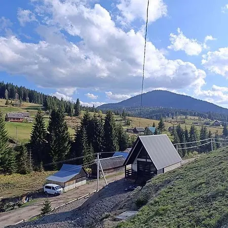 свобода мрій *